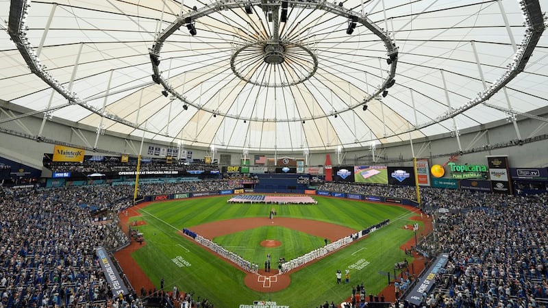Rays die-hard Vitale is ready for Tampa Bay’s World Series spotlight