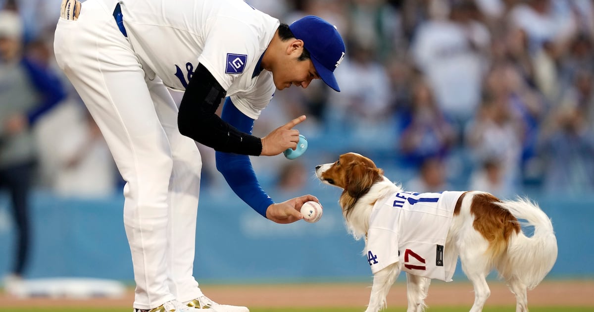 Shohei Ohtani, his dog Decoy share first-pitch duties before Dodgers ...