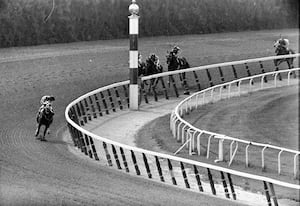 Photo Sportive LINGO I - Secretariat 1978 - Carte Sportscaster N°29-04 - Histoire Des Courses