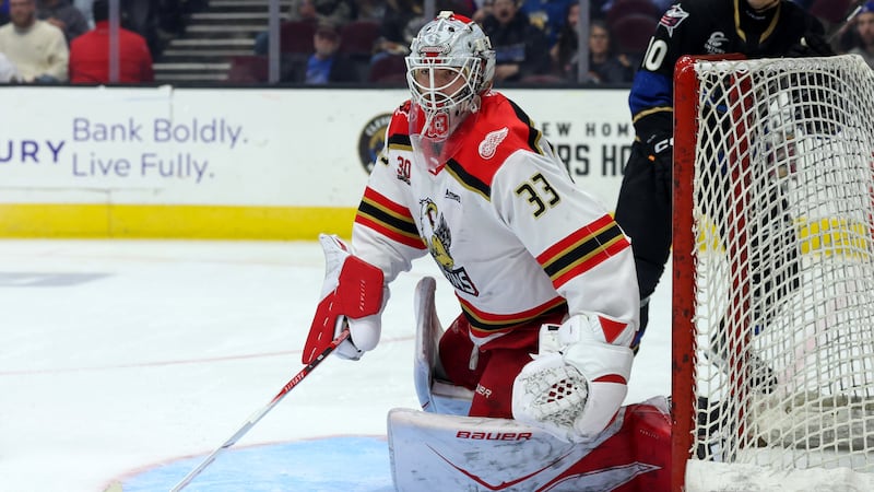 Mammoth acquire G Cossa from Red Wings for first-round pick
