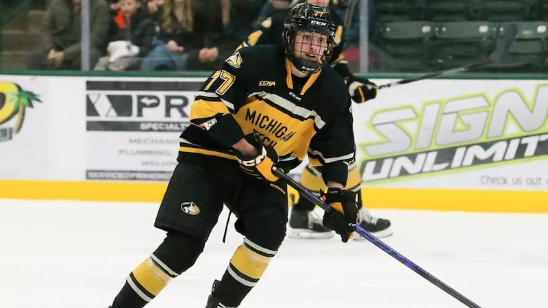 Sabres send prospect Sardarian to Hurricanes for future considerations