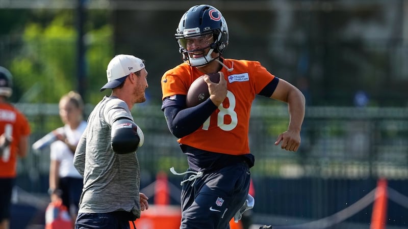 Bears coach Johnson looks for greater accuracy from QB Williams in year two together