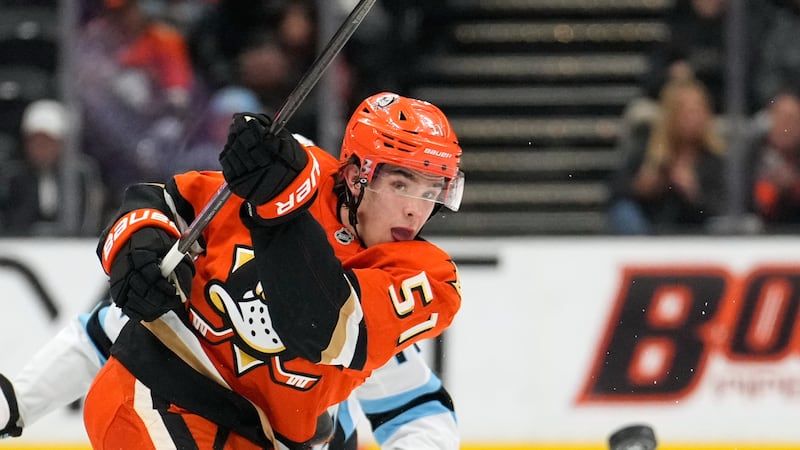Sabres acquire D Zellweger from Ducks