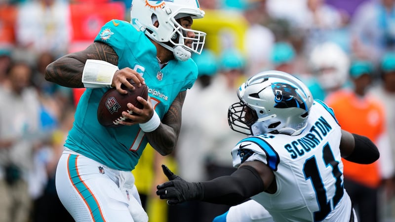 Panthers second-year OLB Scourton carted off the field on first day of training camp