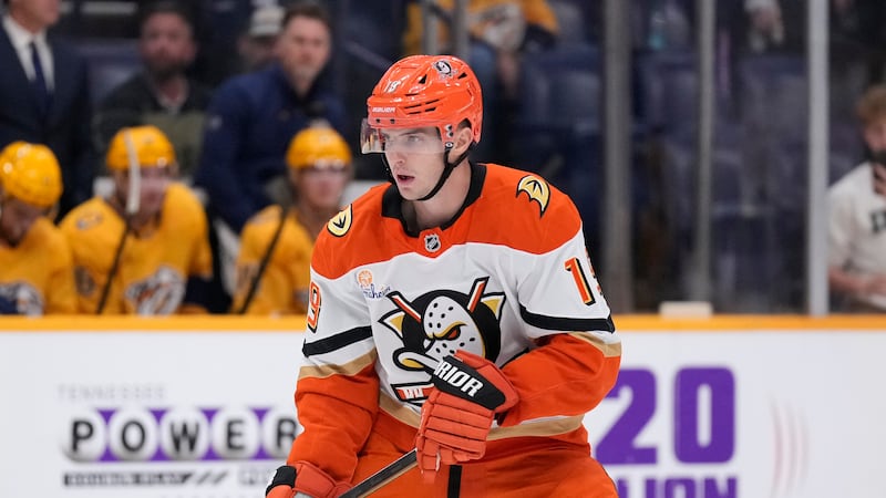 Ducks’ Terry needs hip surgery, might not be ready for start of next season