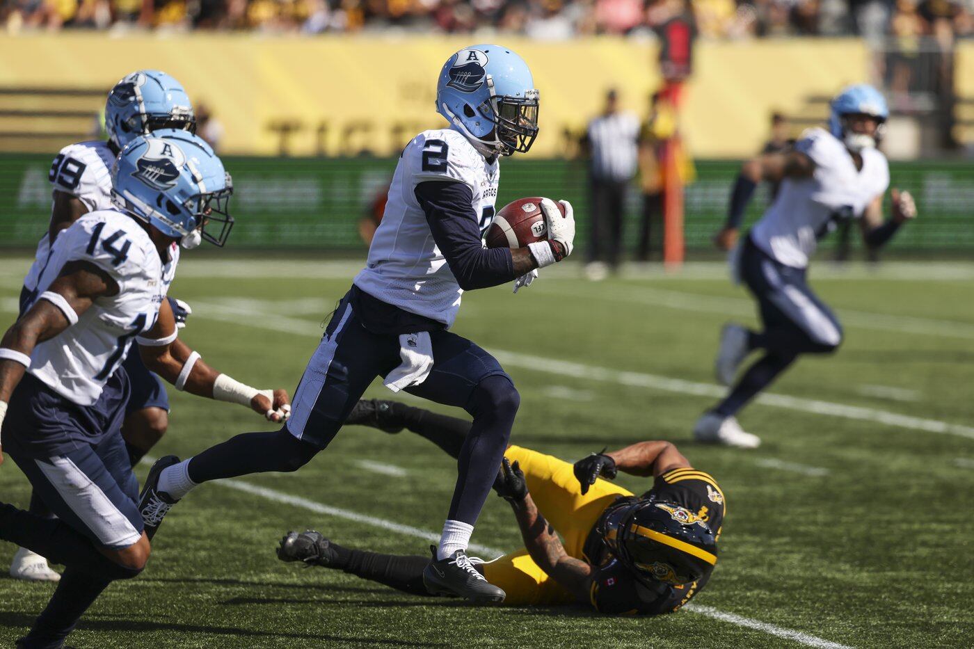 Survey finds there plenty of interest in Canada in both the CFL and NFL