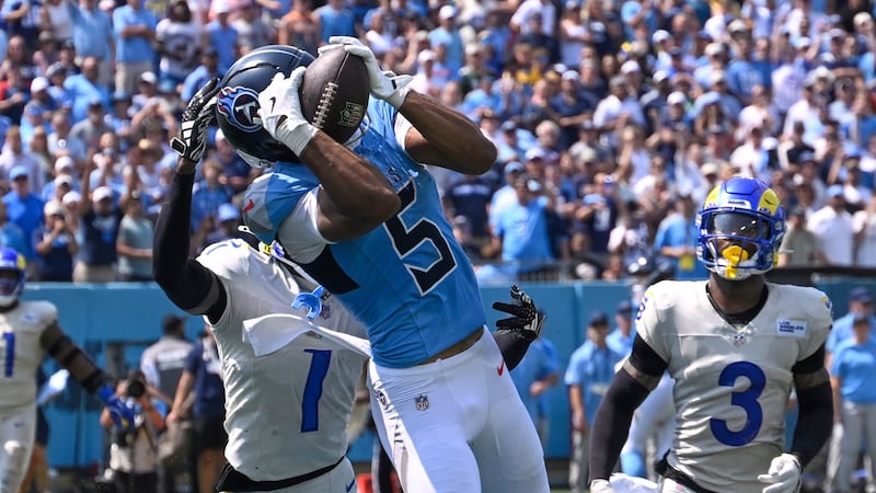 Canadian WR Ayomanor standing out above all in Titans training camp