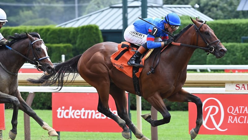 There are two horses named in memory of Gaudreau running in the same race