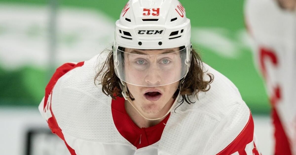 Ice Chips: Tyler Bertuzzi Detroit Red Wings returns hand injury