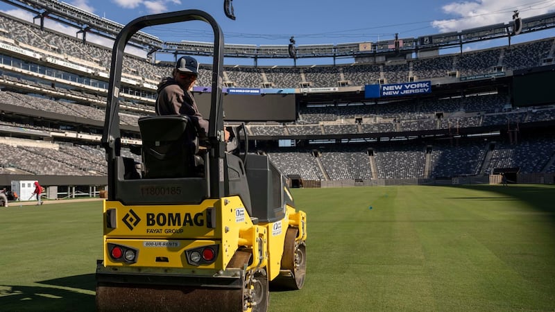 The World Cup pitches are the result of years of engineering to find just the right grass