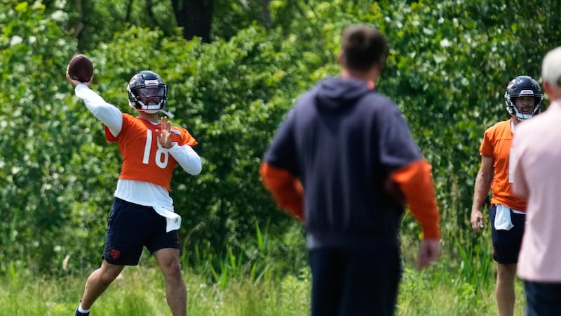 Williams credits Bears coach Johnson as a stabilizing factor in his improvement