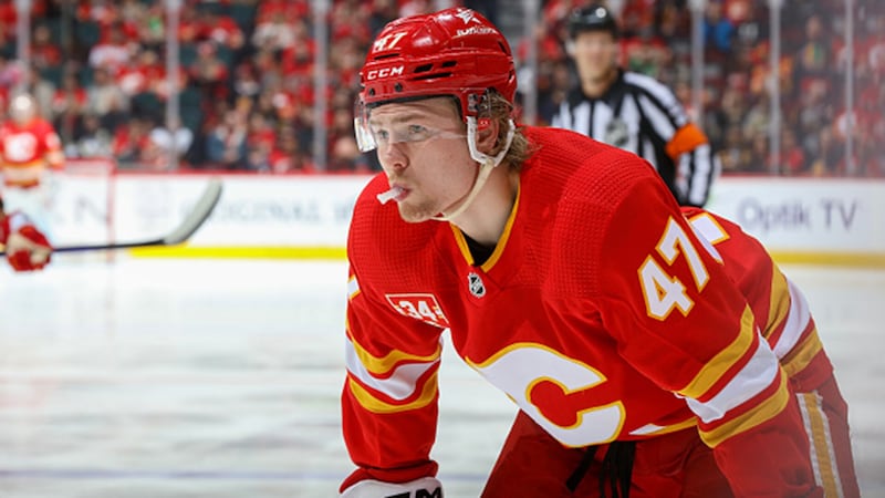 Flames F Zary, D Pachal among three to clear waivers