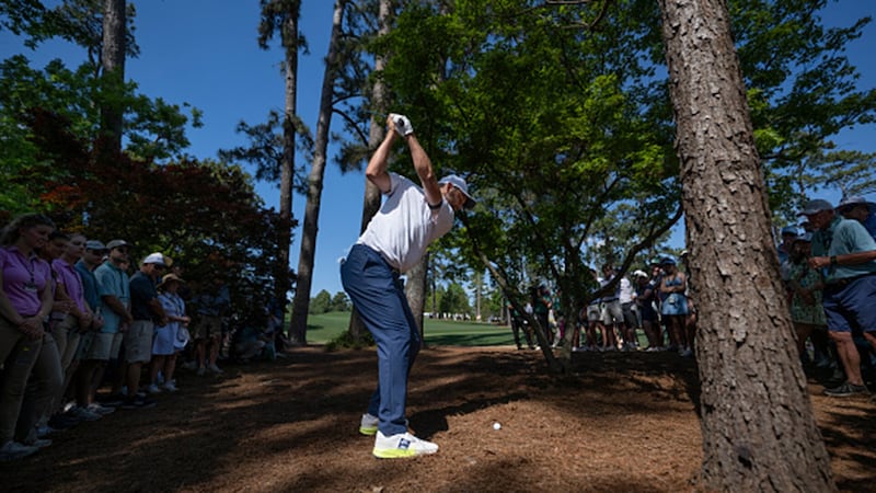 Must See: Scheffler stays in contention with improbable birdie from the trees on 15
