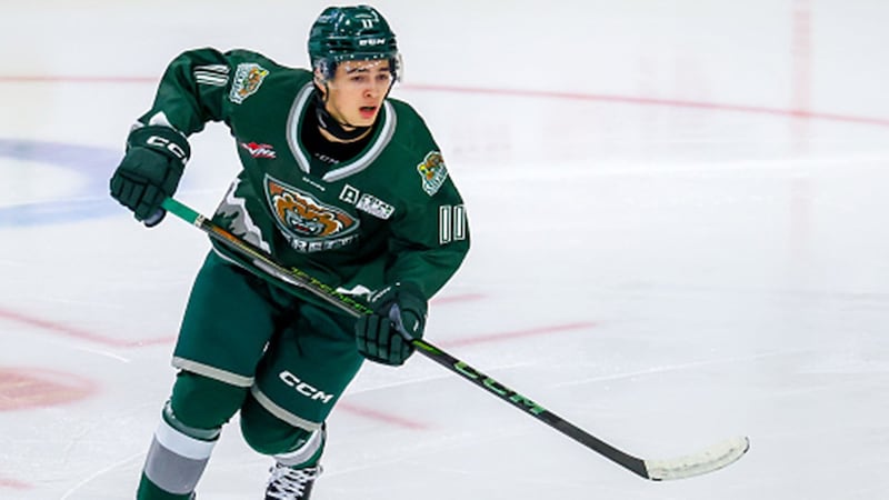 WHL Final: Prince Albert 2, Everett 6