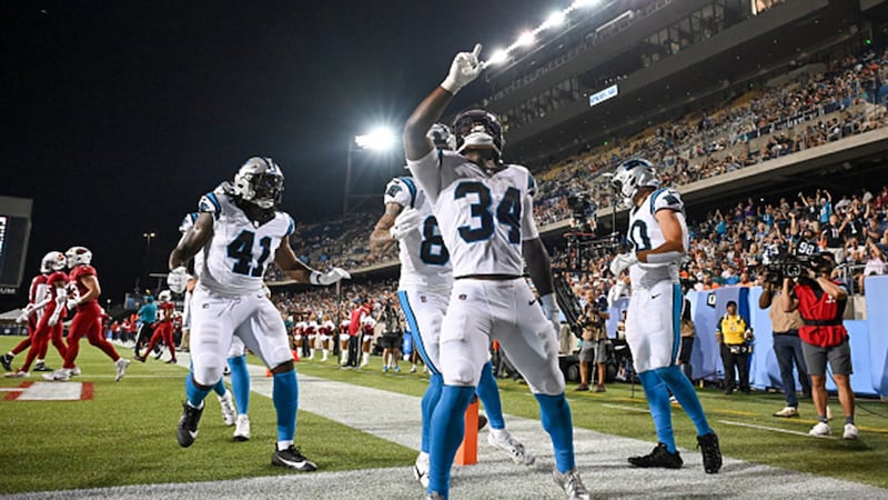 NFL Preseason: Panthers 33, Cardinals 30