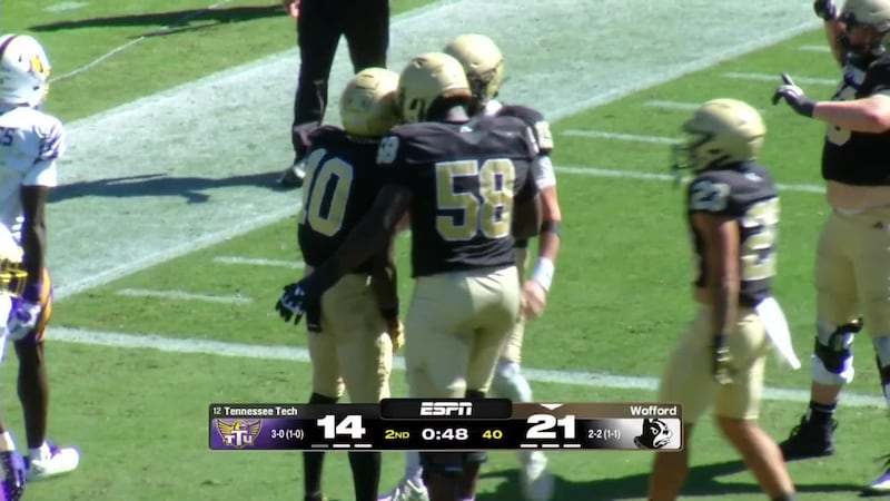 Must See: Wofford's Terrence Honeywood makes stunning one-handed TD grab