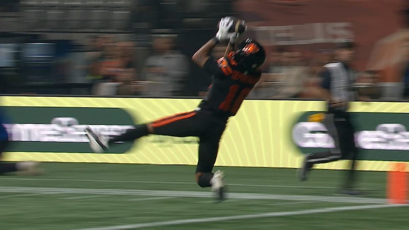 Salter finds a wide-open DeMontagnac as Lions make Bombers pay early